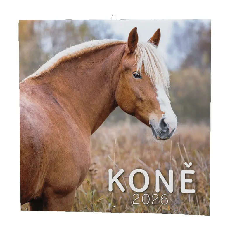 Nástěnný kalendář 2026 Koně