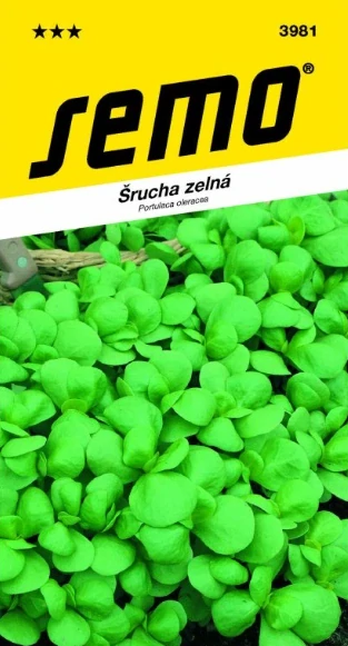Šrucha zelná Green Purslane