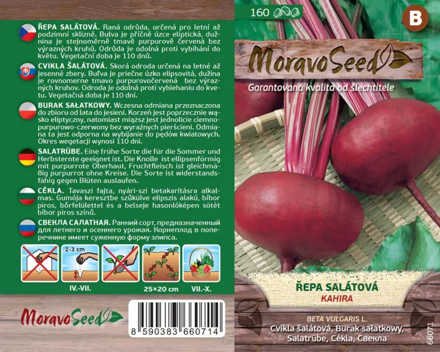 Řepa salátová Kahira - osivo 