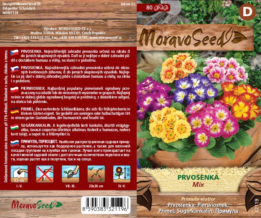 Prvosenka směs - osivo