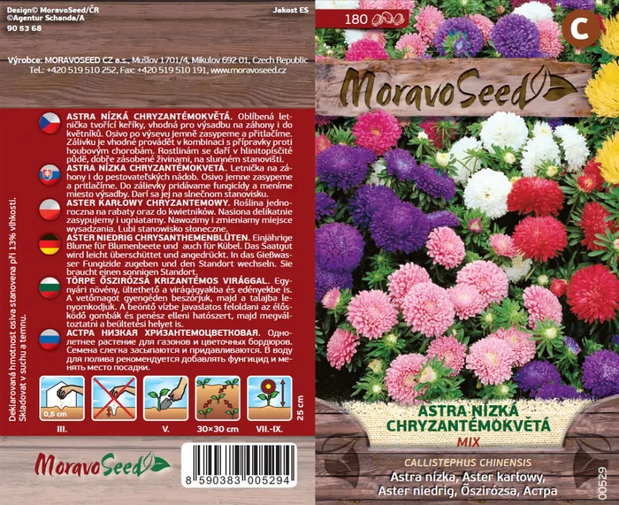 Astra nízká chryzantémokvětá mix -osivo