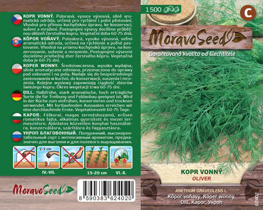 Kopr vonný Oliver - osivo 