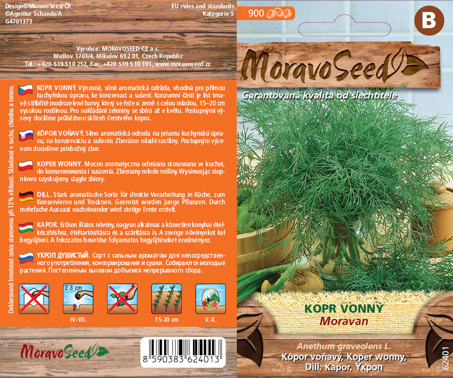 Kopr vonný Moravan - osivo 