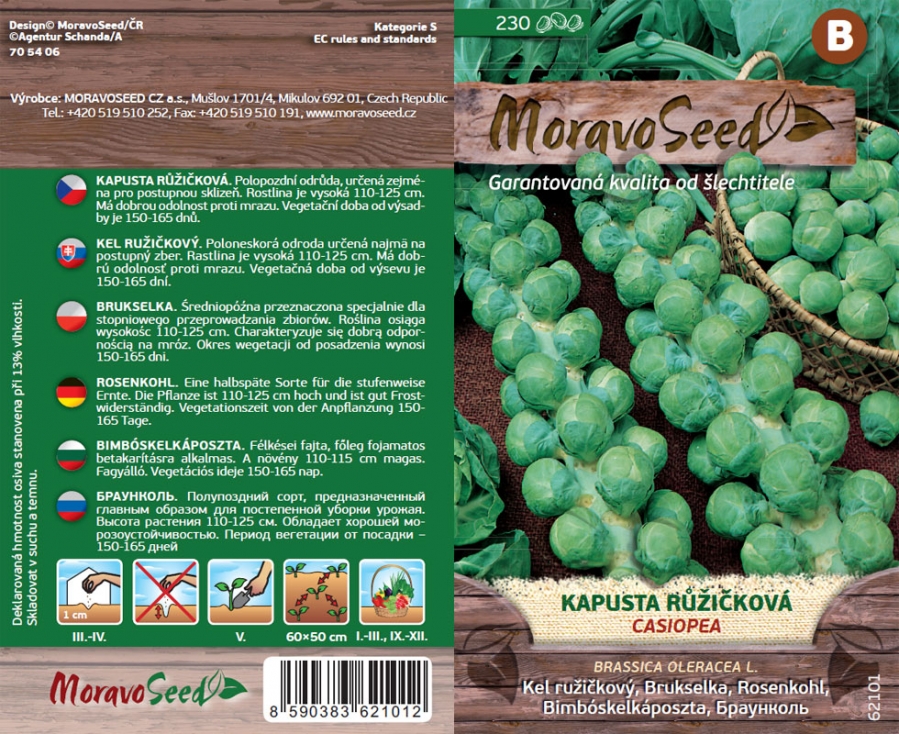 Kapusta růžičková Casiopea - osivo