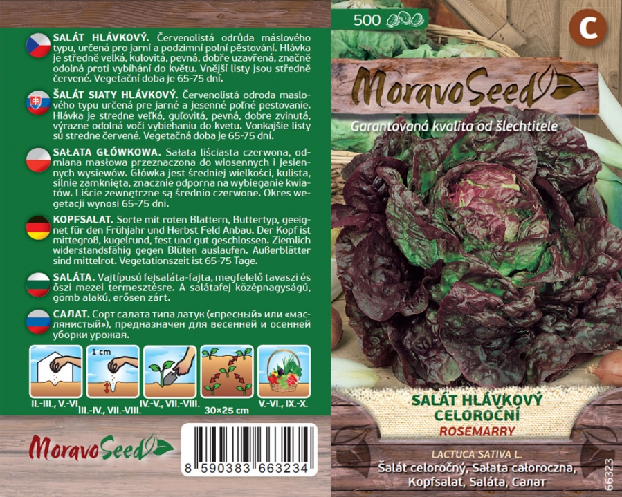 Salát hlávkový červený Rosemarry - osivo 