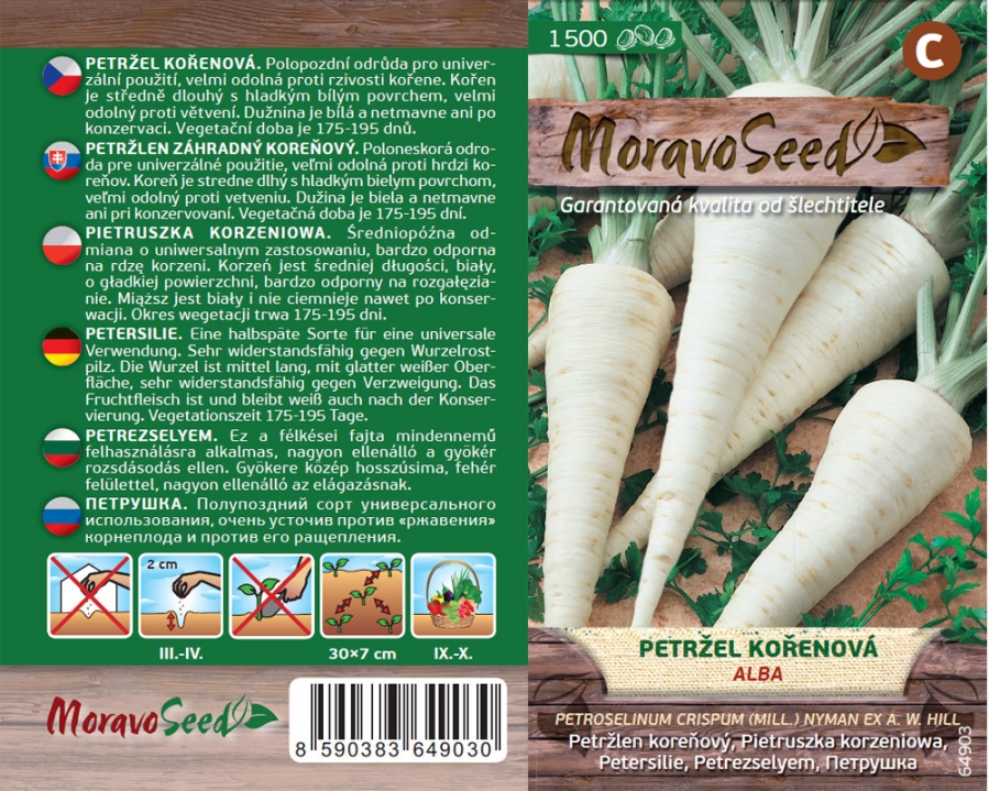 Petržel kořenová Alba - osivo 