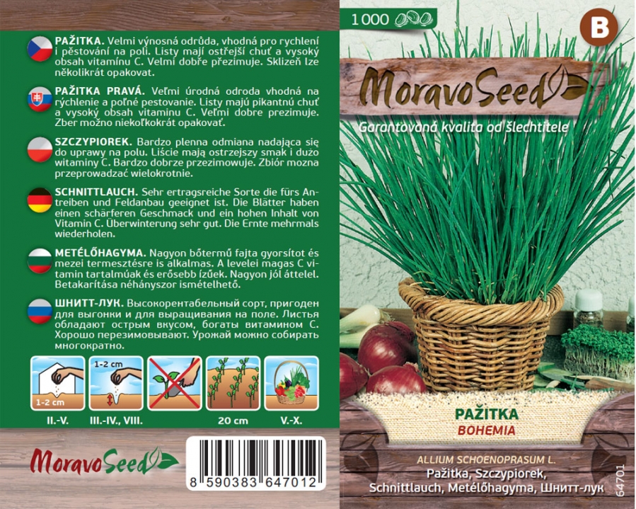 Pažitka pravá Bohemia - osivo