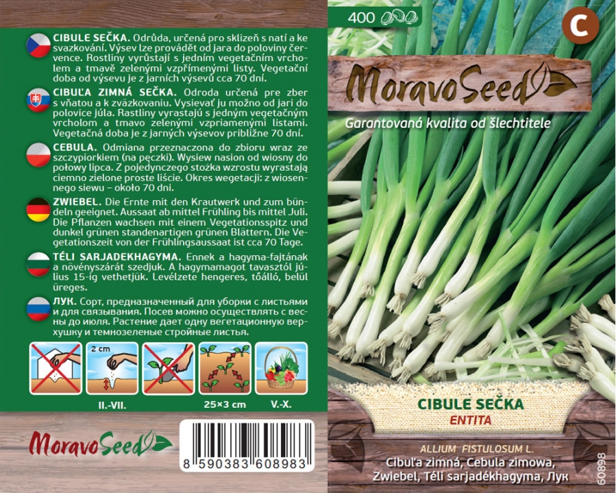 Cibule sečka Entita - osivo 