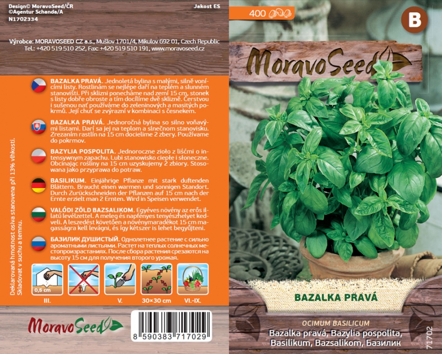 Bazalka pravá zelená - osivo 