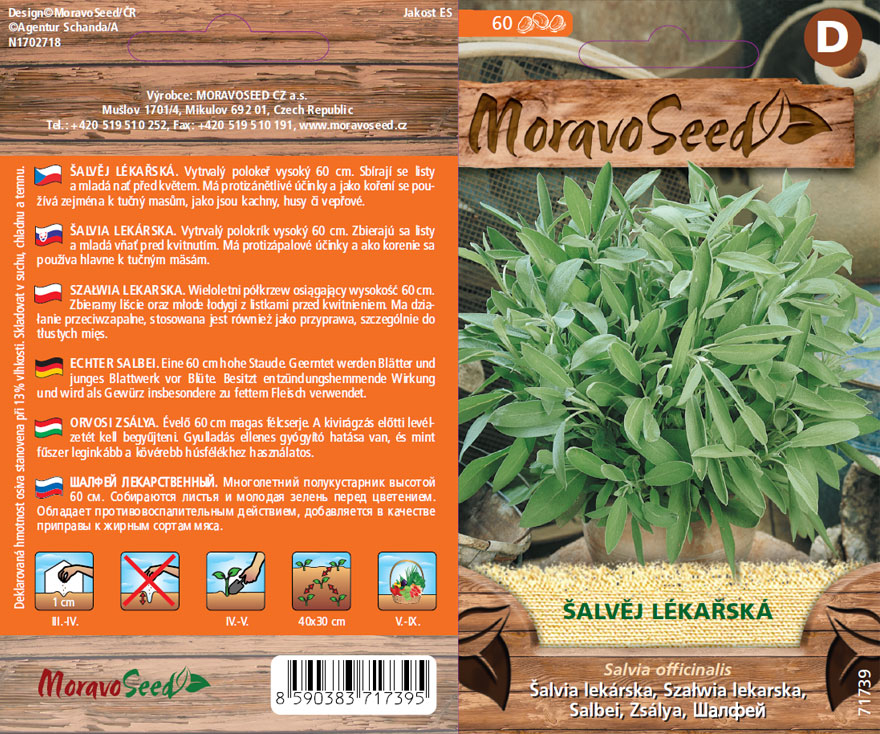 Šalvěj lékařská - osivo 
