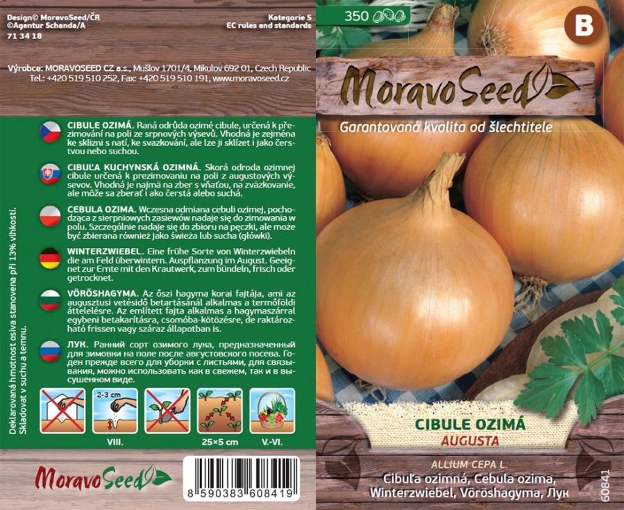 Cibule ozimá Augusta - osiva