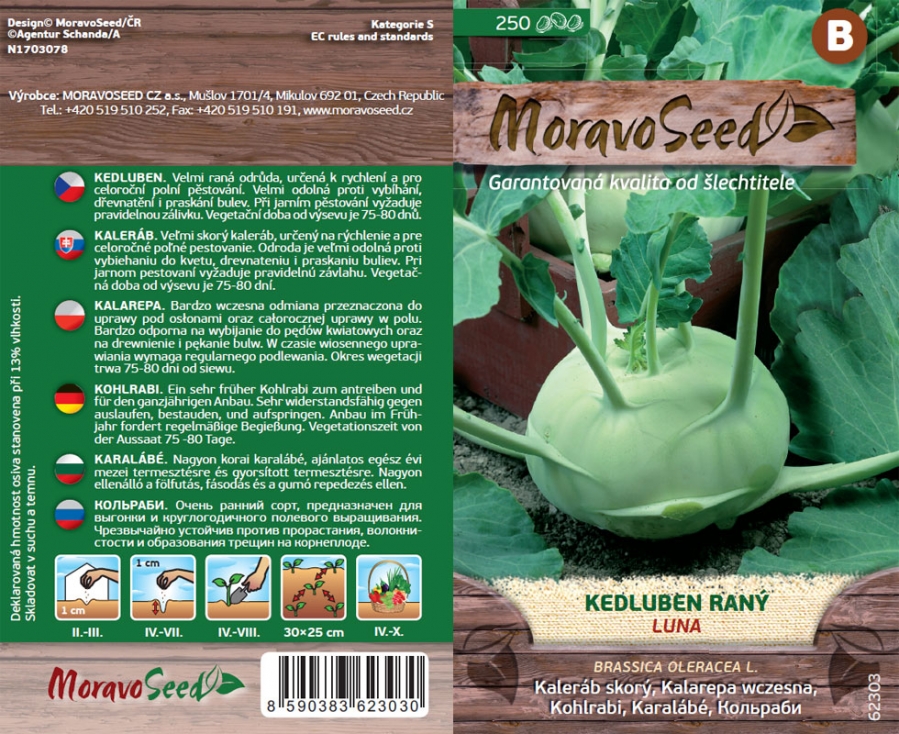Kedluben bílý raný Luna - osivo