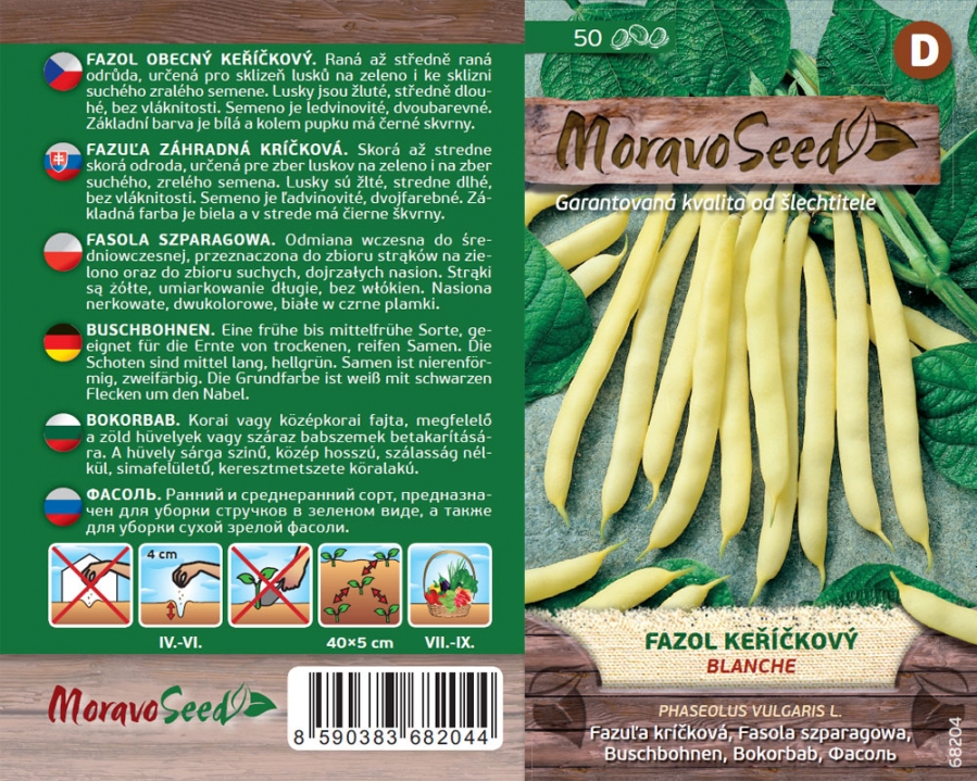 Fazol obecný keříčkový žlutoluský Blanche - osivo 