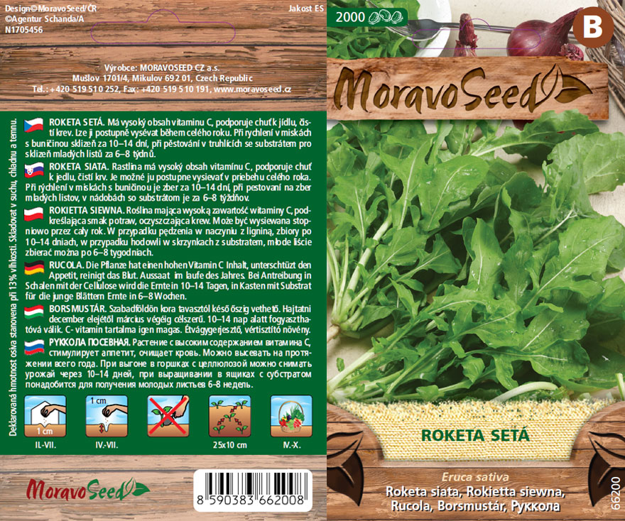 Roketa setá - osivo