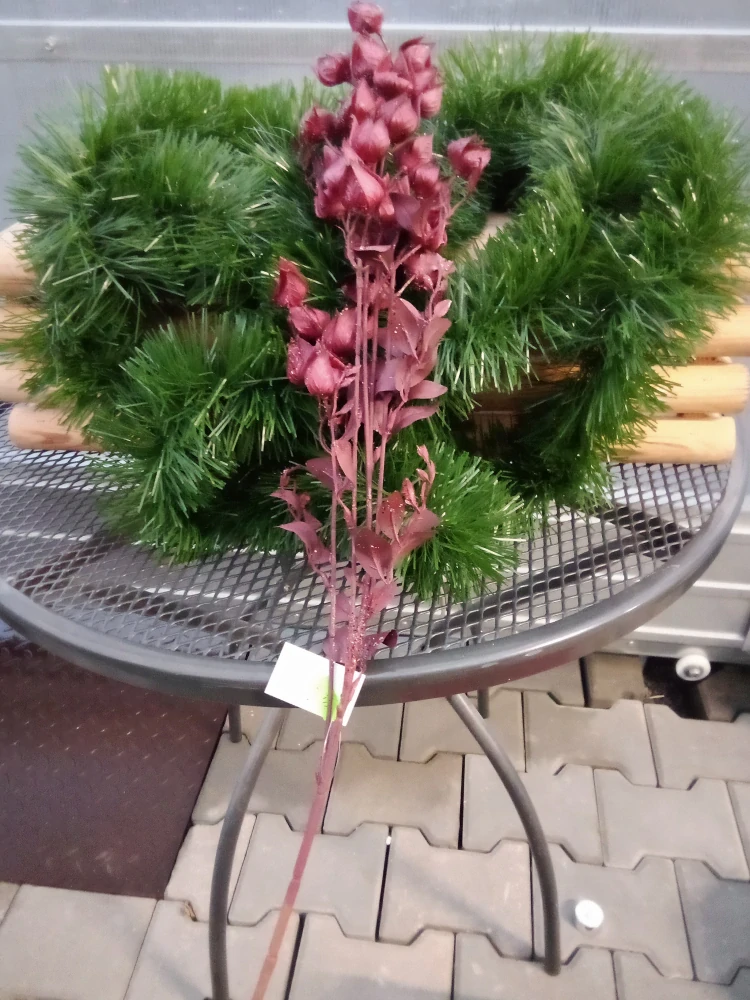 Dekorační větvička mochyně red 85cm