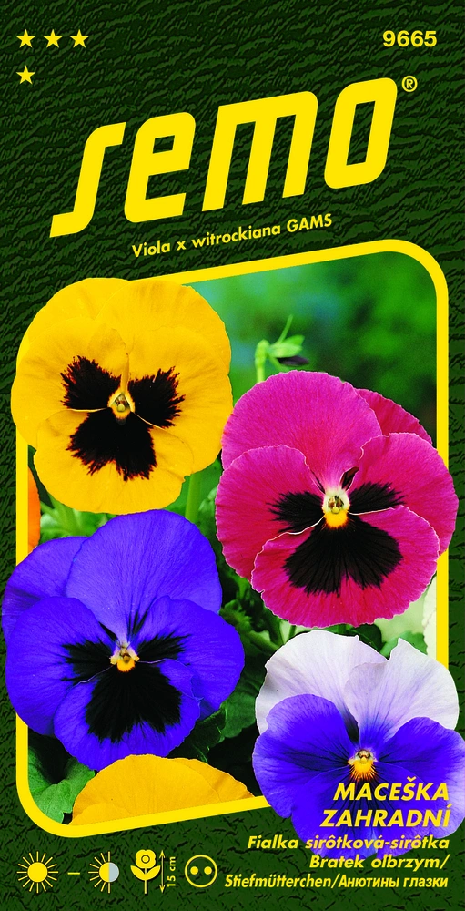 Maceška zahradní velkokvětá směs s okem - osivo