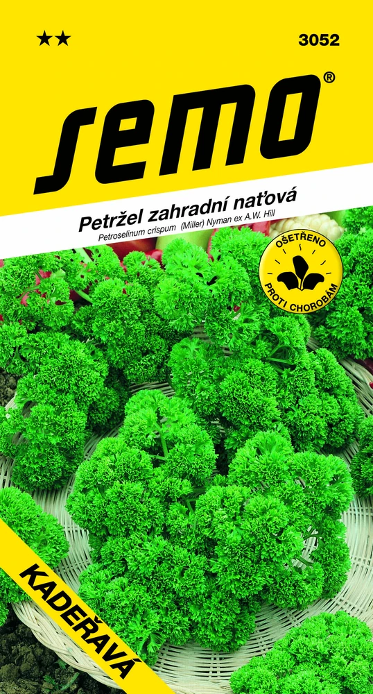 Petržel zahradní naťová Kadeřavá Moss Curled2 osivo 