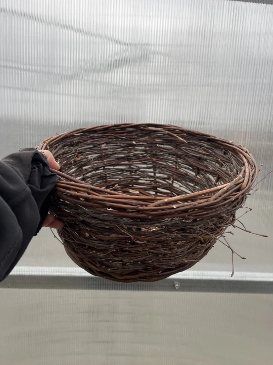Mísa březová 31x13cm