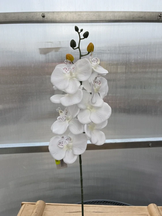 Uměla květina  - Orchidej bílá 79cm 