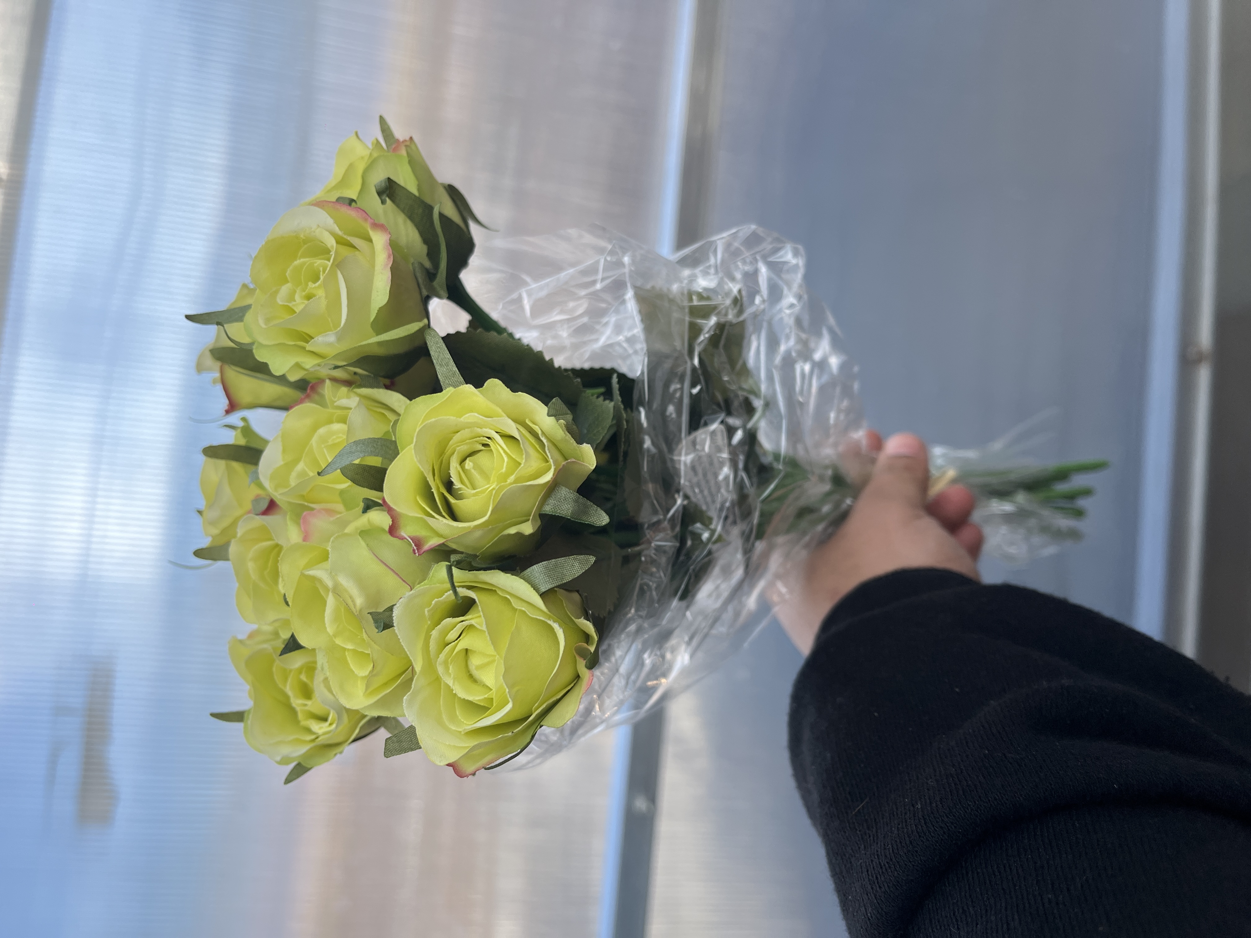 Umělý puget růži zelené 37cm 12ks
