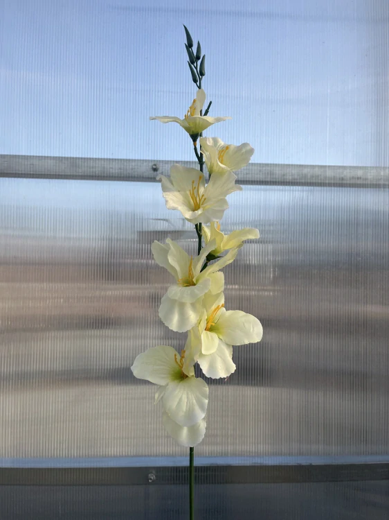 Umělá květina - Gladiola limetka - 63cm