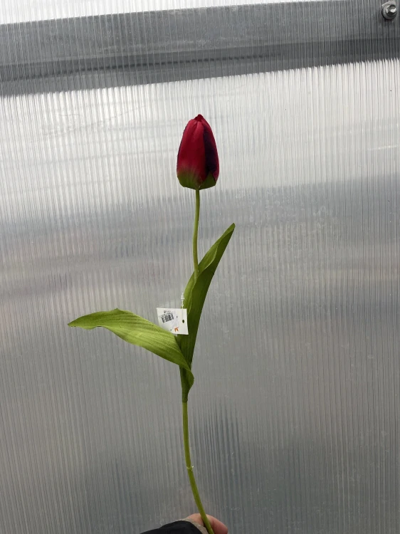 Plastová květina - Tulipán červený  48cm