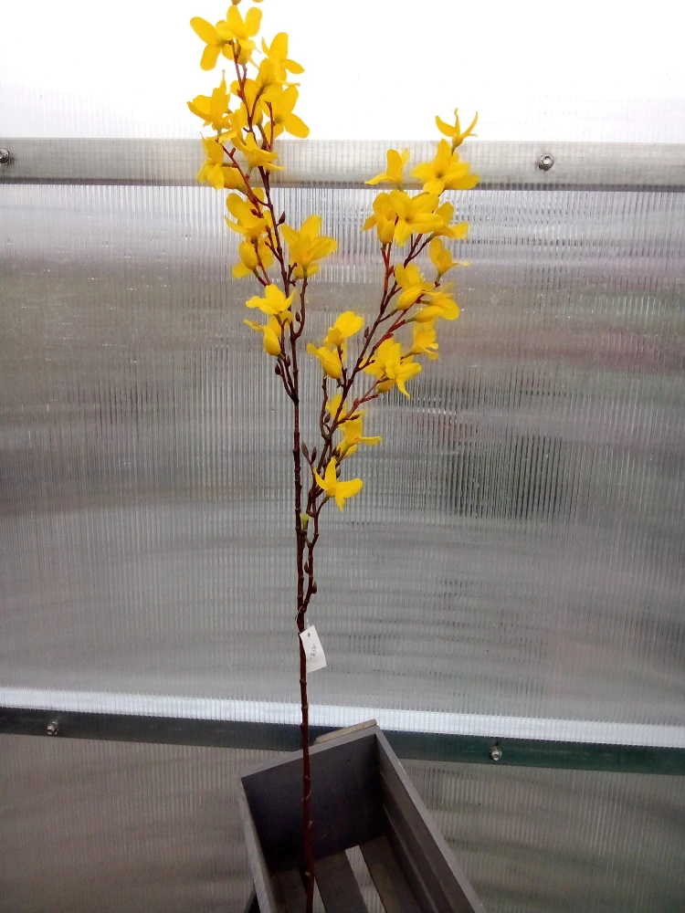 Plastová  květina zlatý déšť 92cm