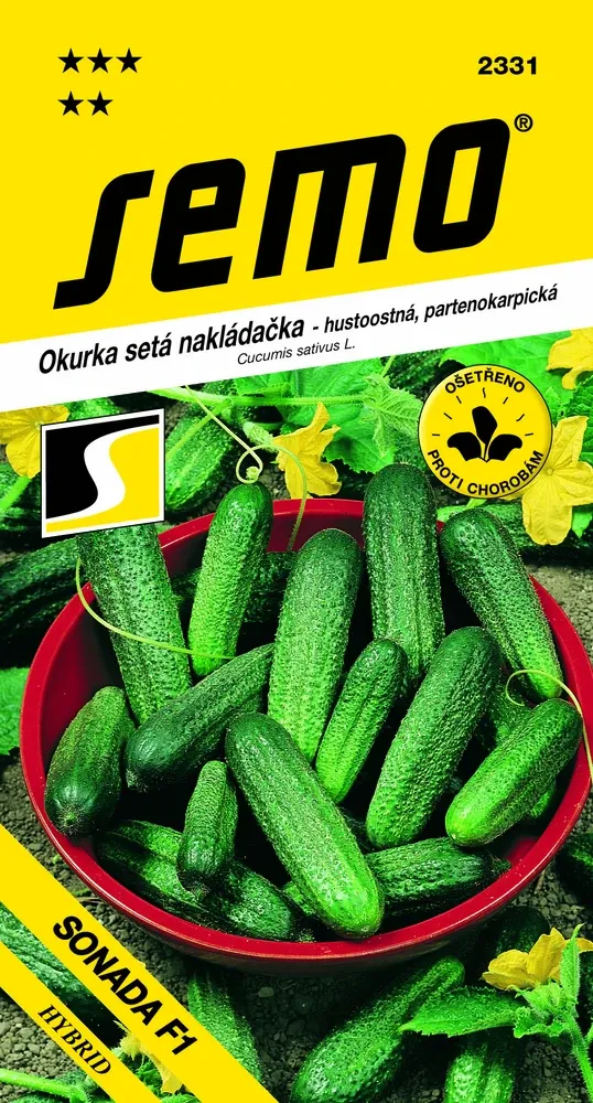 Okurka setá nakládačka Sonada F1- hustoostná - osivo 