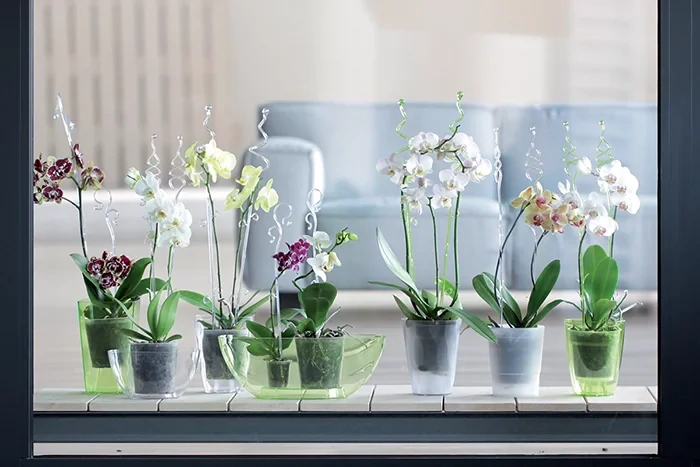 Podpěra pro květiny - orchidej Decor Orchid Stick 39cm transparentní 