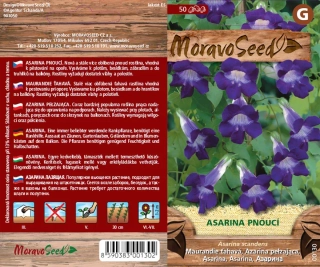 Asarina pnoucí - osivo 