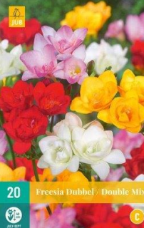 Frézie freesia double mix (20 cibulí) NJ "C"