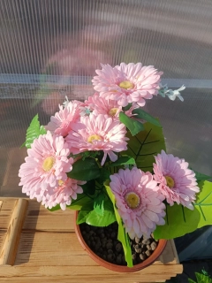 Plastová kytice - gerbera růžová 46cm