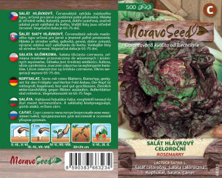 Salát hlávkový červený Rosemarry - osivo 