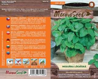 Meduňka lékařská - osivo