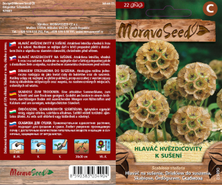 Hlaváč hvěz. k suš. - osivo