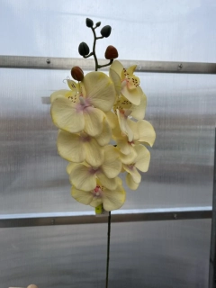 Uměla květina  - Orchidej krémová 79cm 