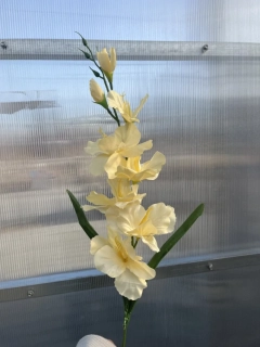 Umělá květina - Gladiola žlutá - 63cm